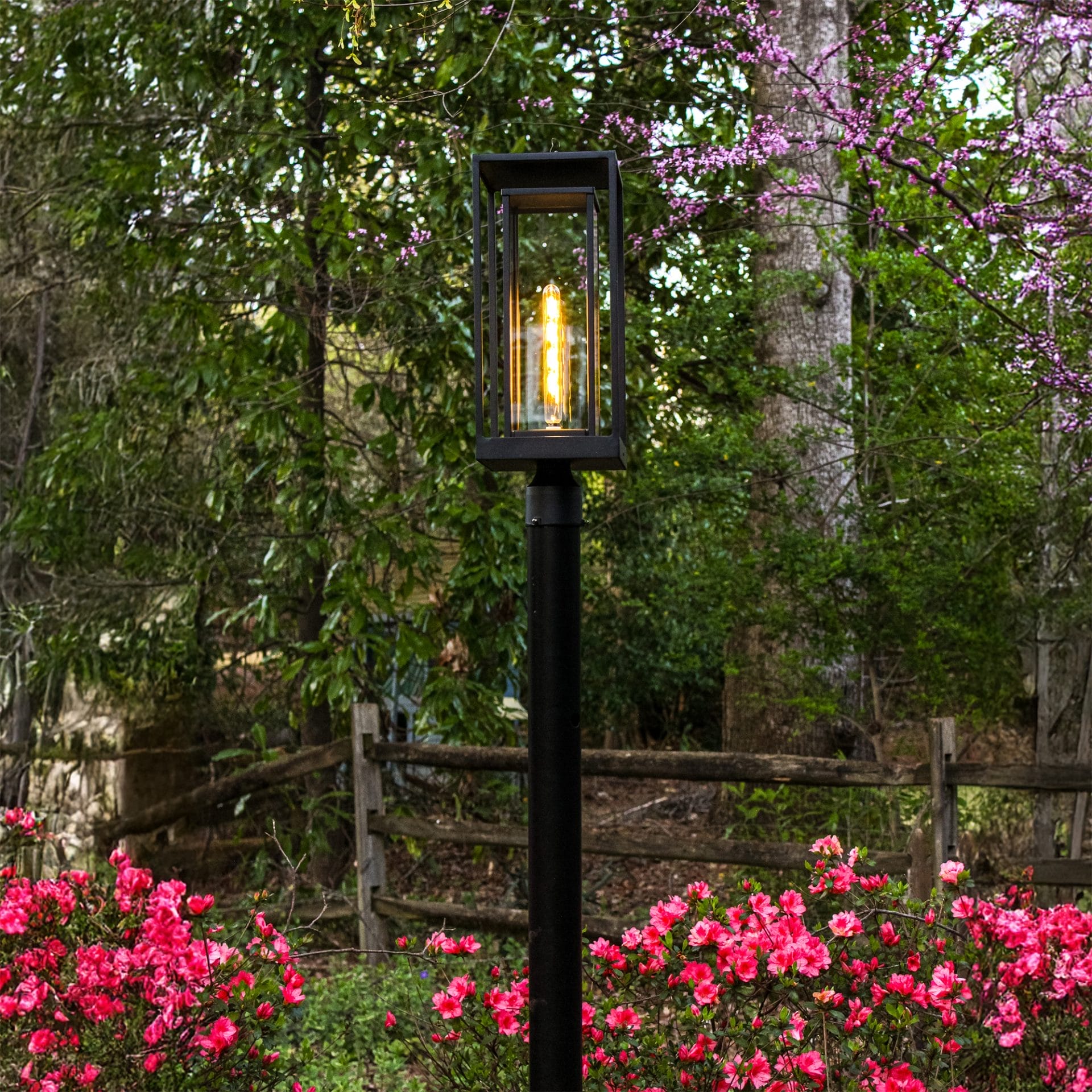 Discover the Fresh Look of Modern Outdoor Lighting: Gama Sonic’s Latest ...