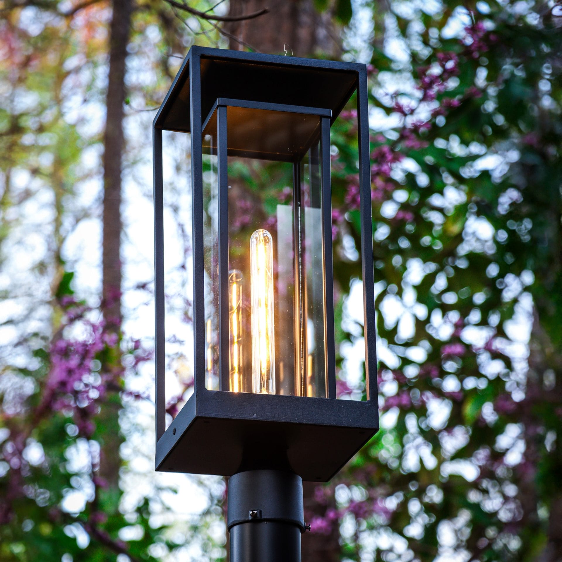Discover the Fresh Look of Modern Outdoor Lighting: Gama Sonic’s Latest ...