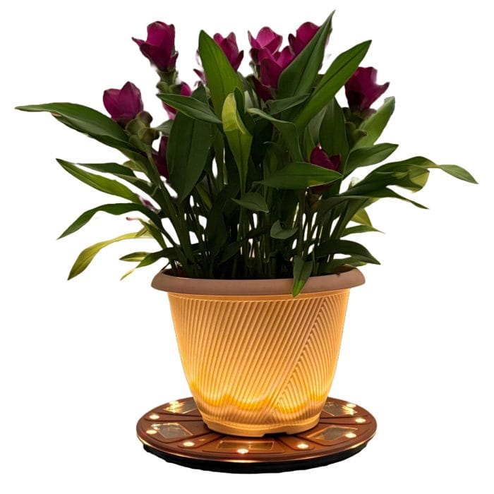 Grand Solar Uplight casting soft glow under decorative planter at night